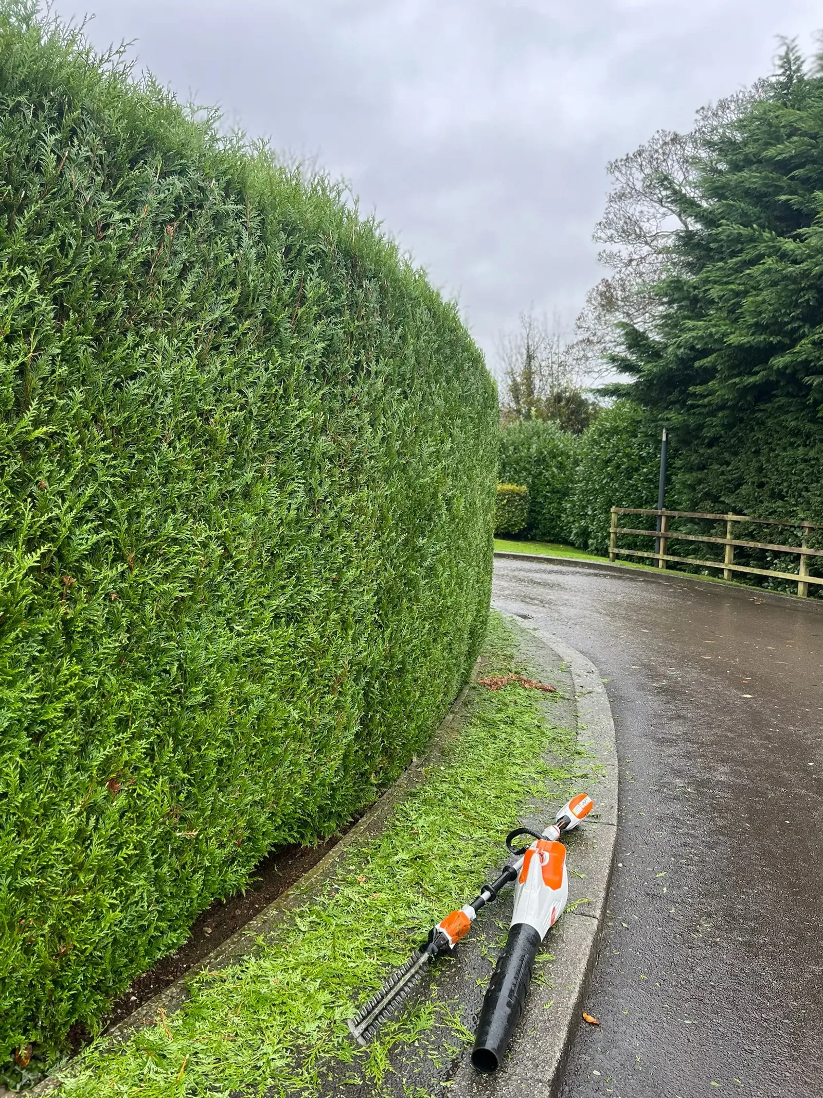 Hotel hedge trimming
