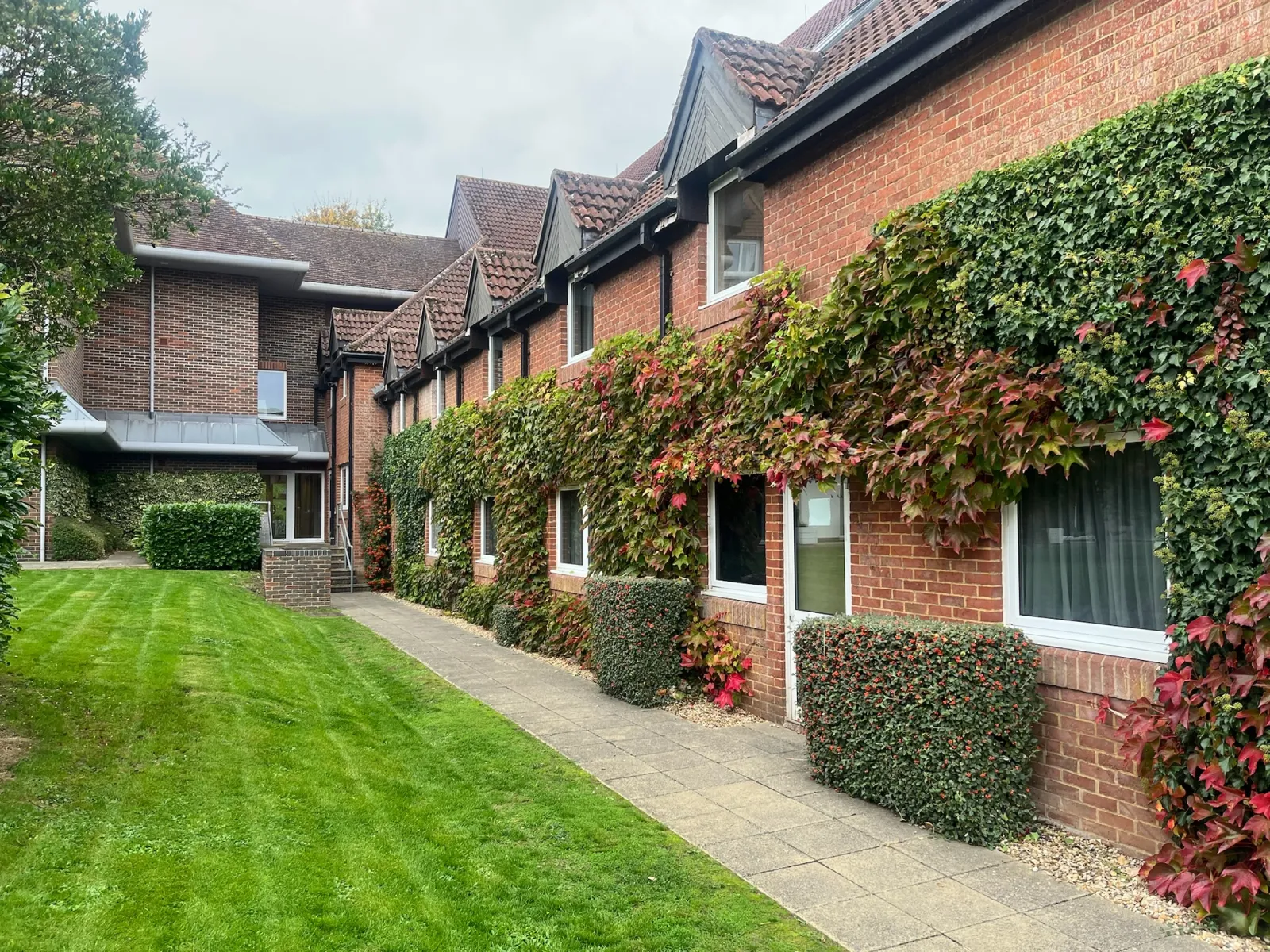 Climbing plants at a commercial site