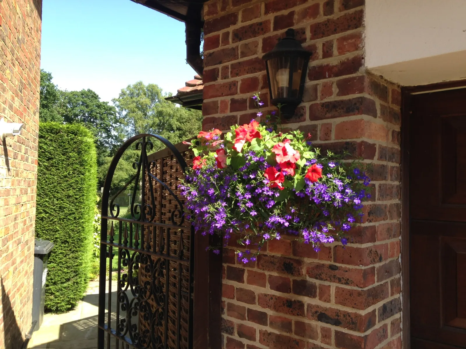 Hanging basket