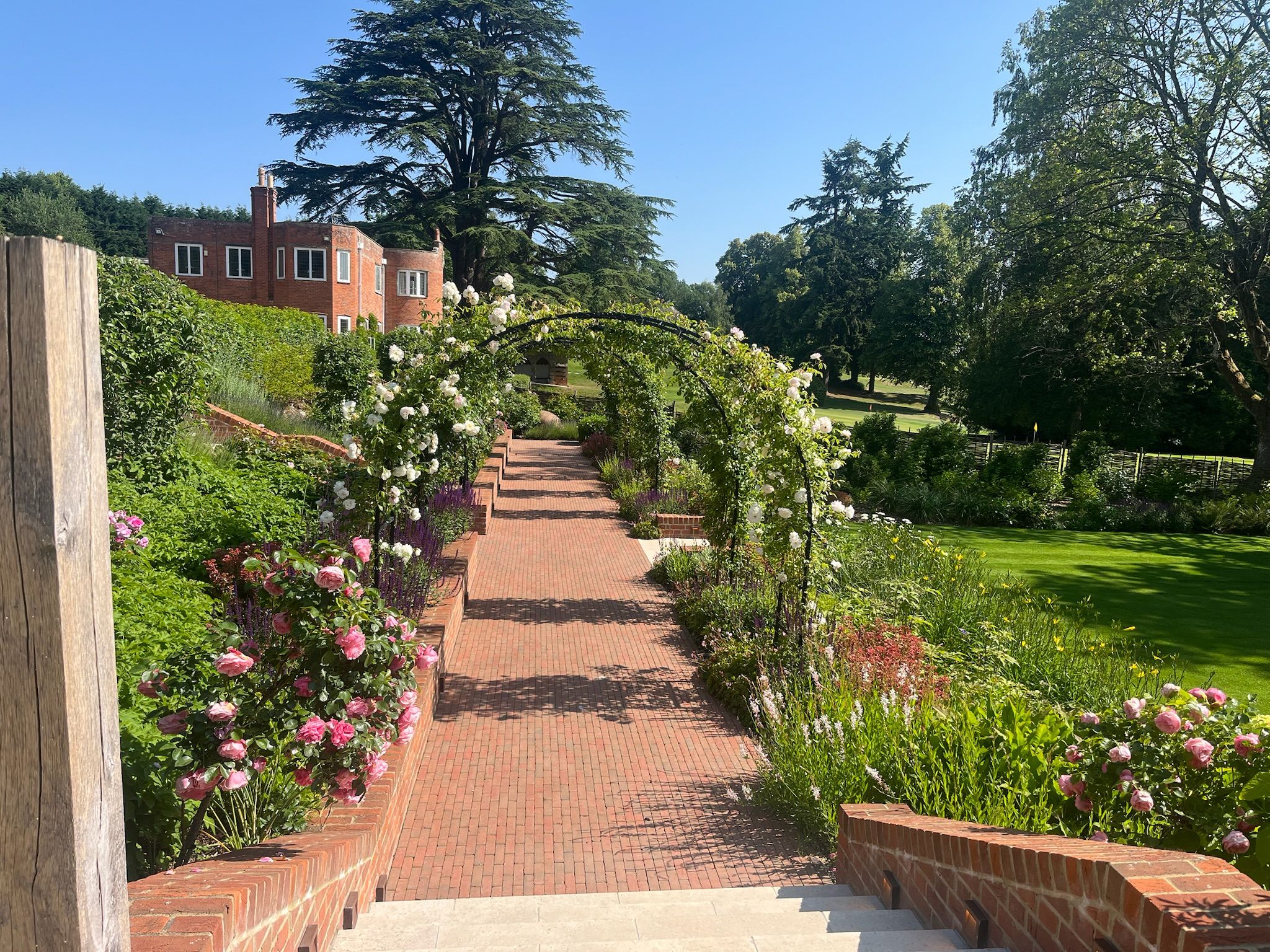 Hotel pathway with climbers