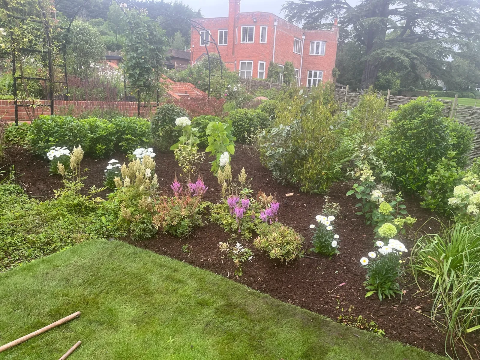 Freshly planted border