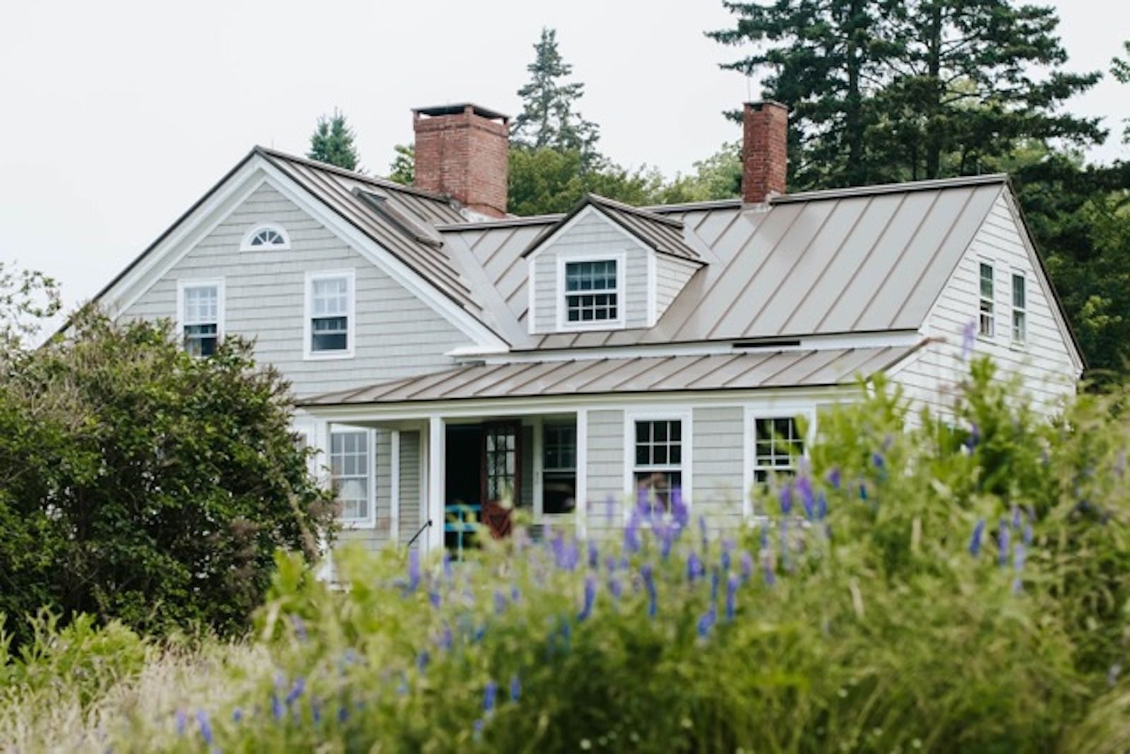 A grey house surrounded by tall foliage under a grey sky.