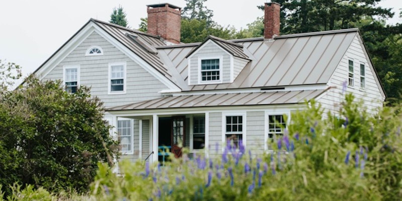 A grey house surrounded by tall foliage under a grey sky.
