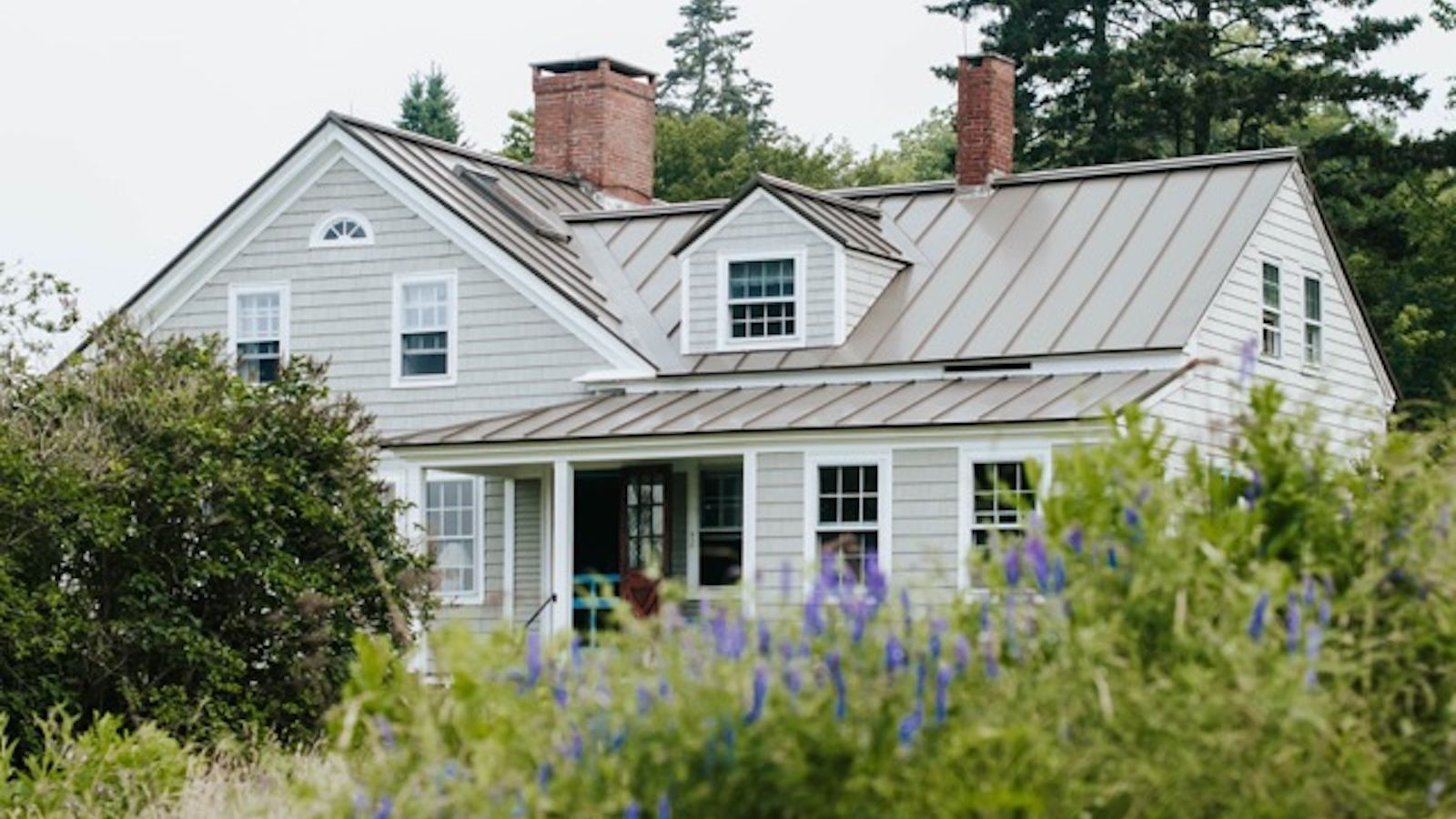A grey house surrounded by tall foliage under a grey sky.