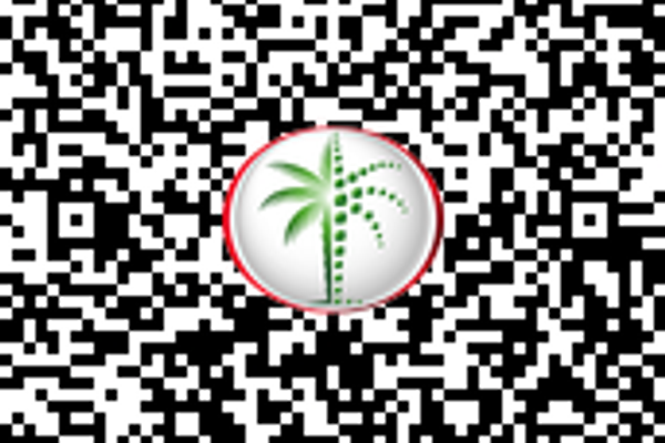 Muraba Veil - Image 6