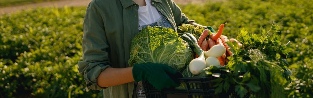 Female farmer holding fresh vegetables in her hands