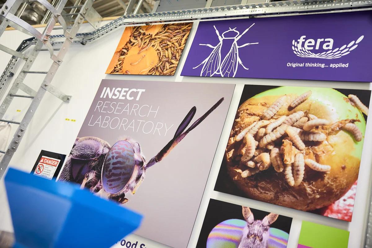 Fera Insect Research Laboratory