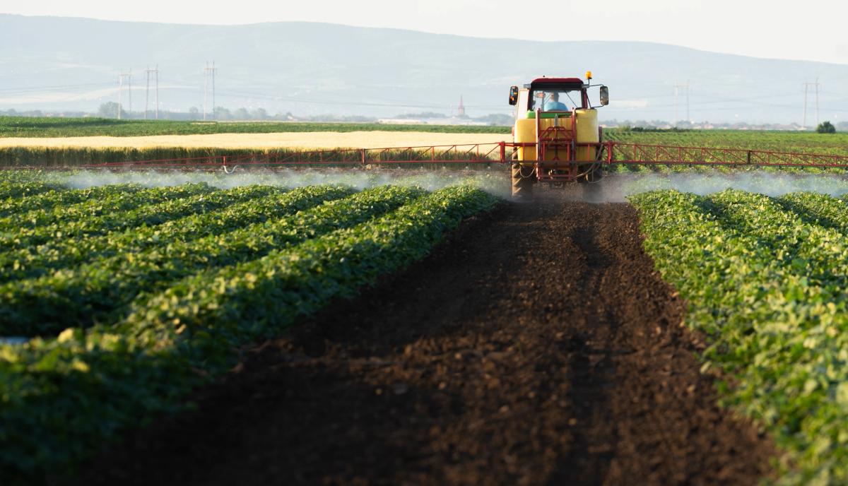 A tractor sprays chemicals on green crops in a field.