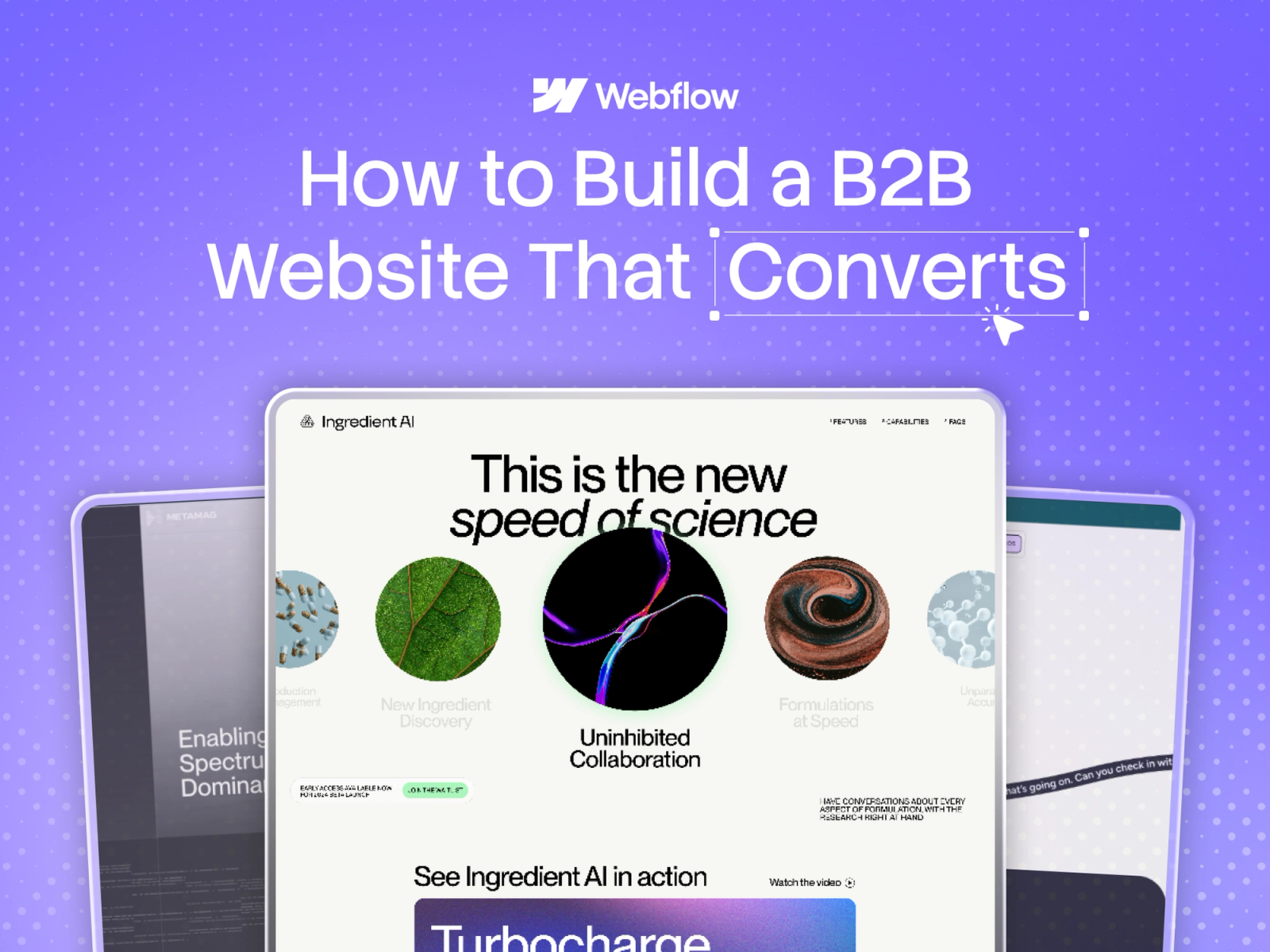 How to Build a B2B Website on Webflow That Converts (2026)