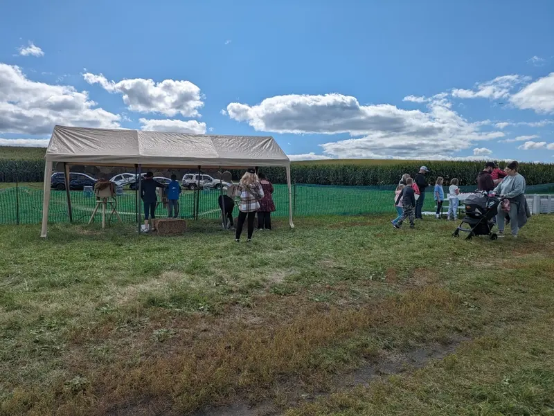 MEA Weekend Fall Activities