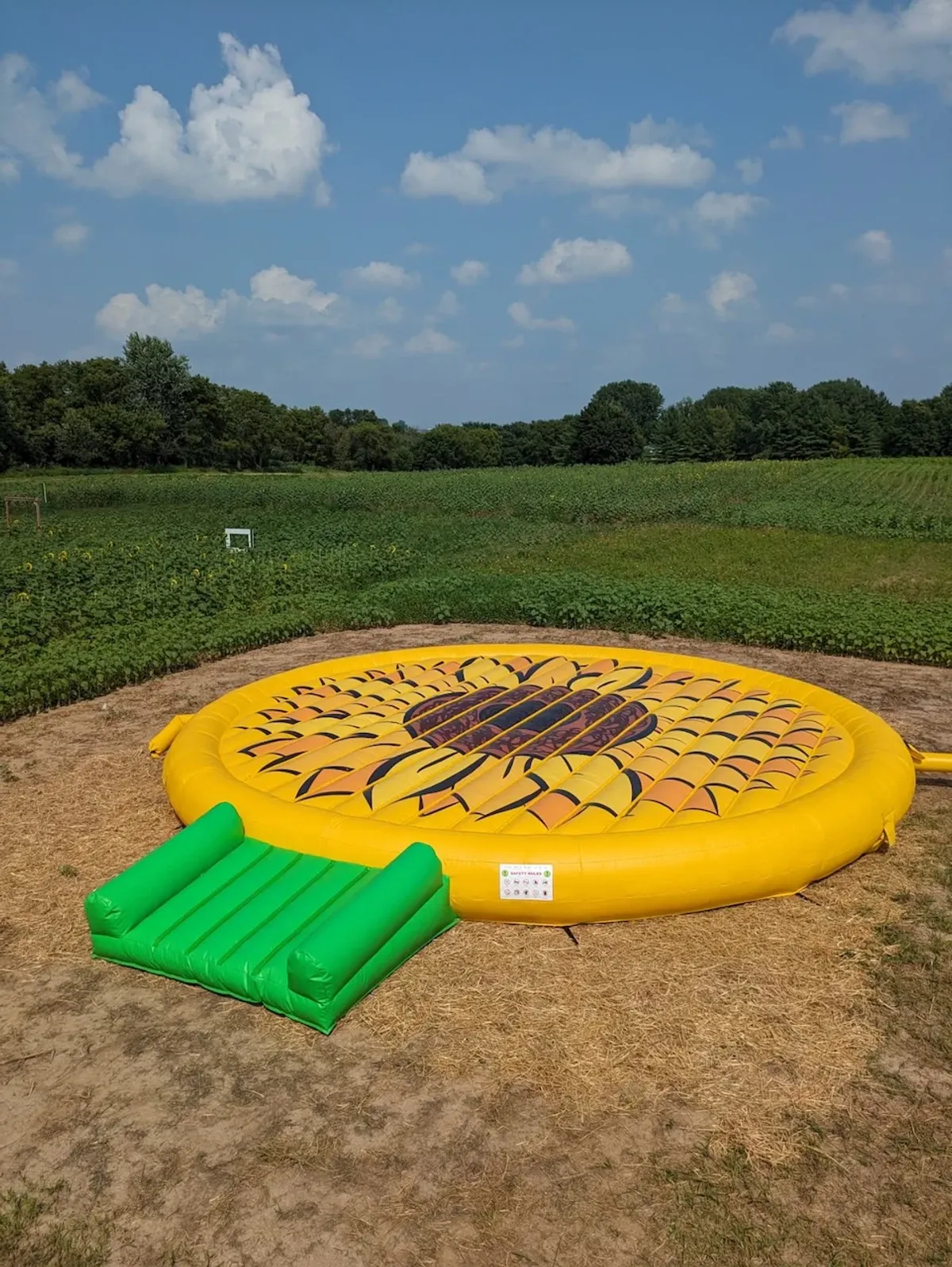 Giant Bounce Pads