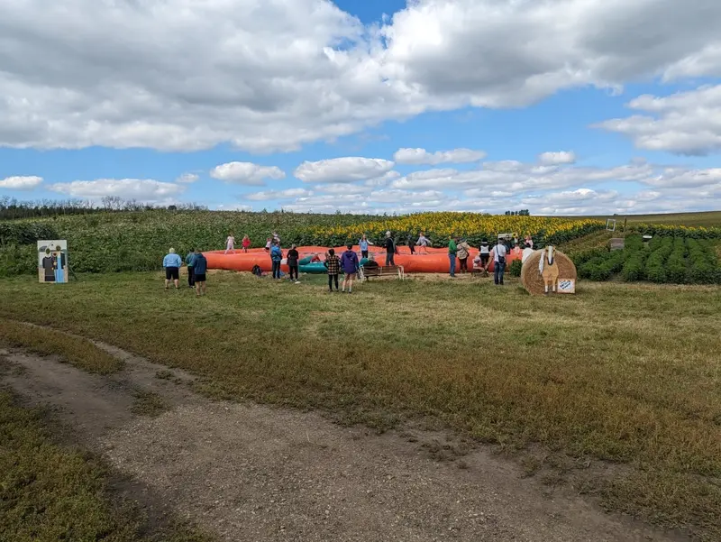 MEA Weekend Fall Activities