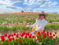 The First Annual Tulip Festival