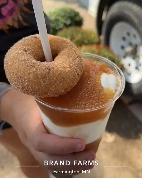 Apple Donuts