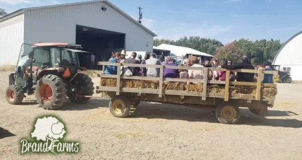 Hayrides
