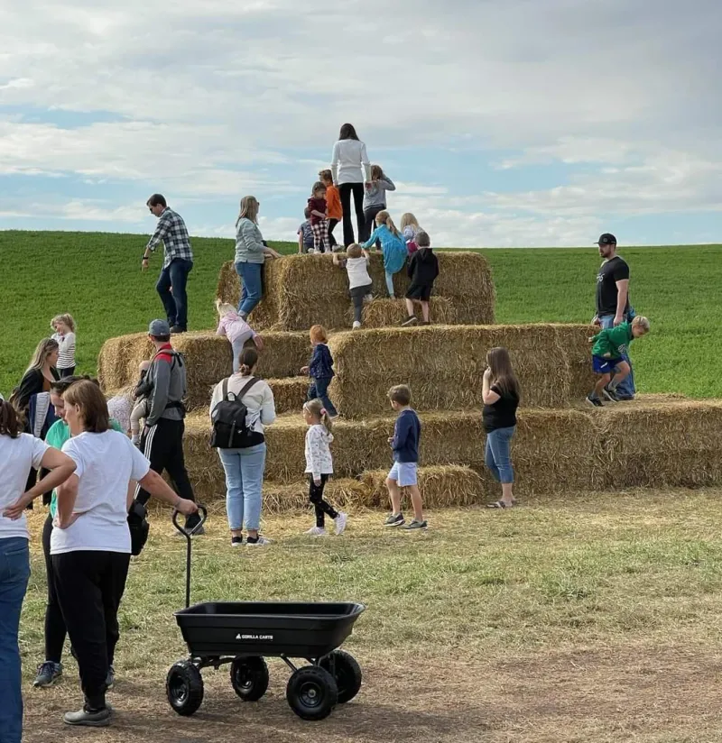 MEA Weekend Fall Activities