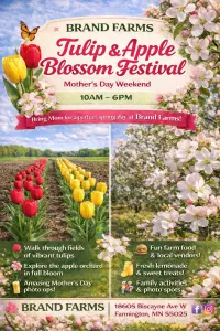 Mother's Day Weekend at the Tulip Festival