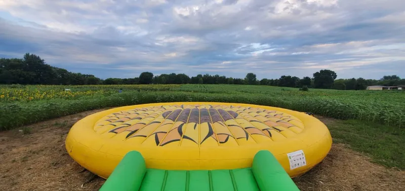 Giant Bounce Pads