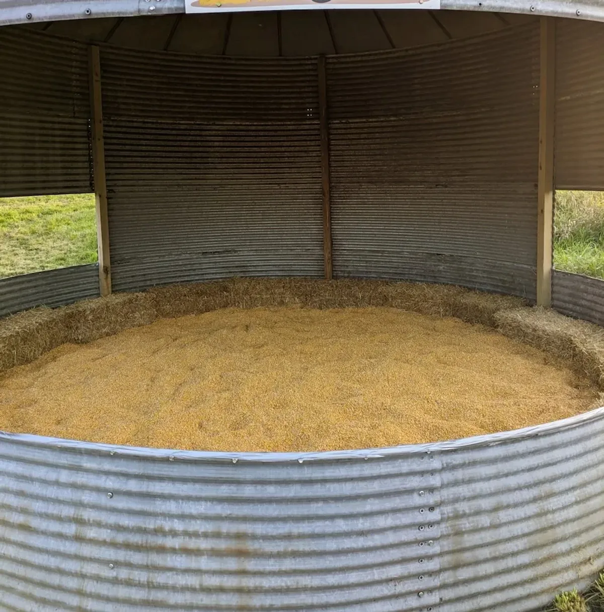 Corn Shed