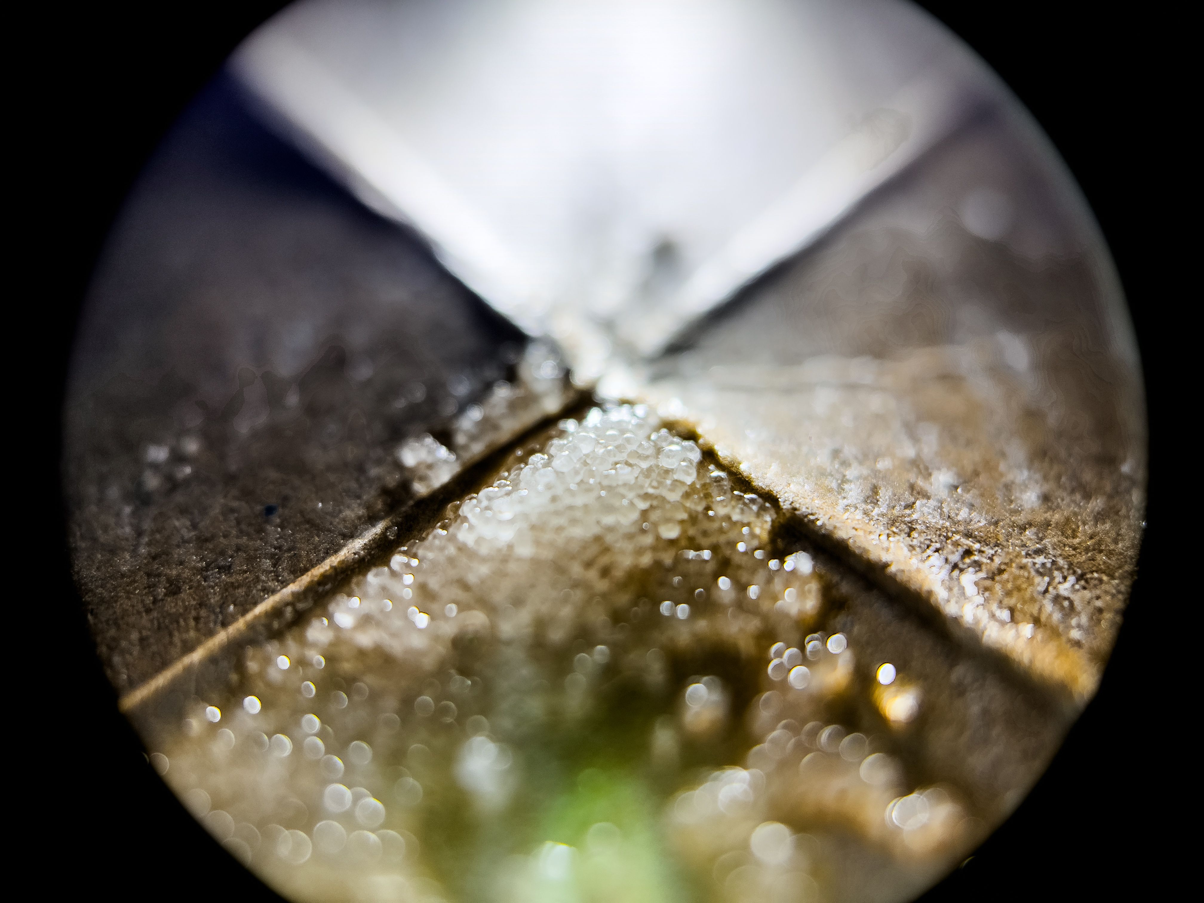 A macro picture of a pile of wet salt on cardboard