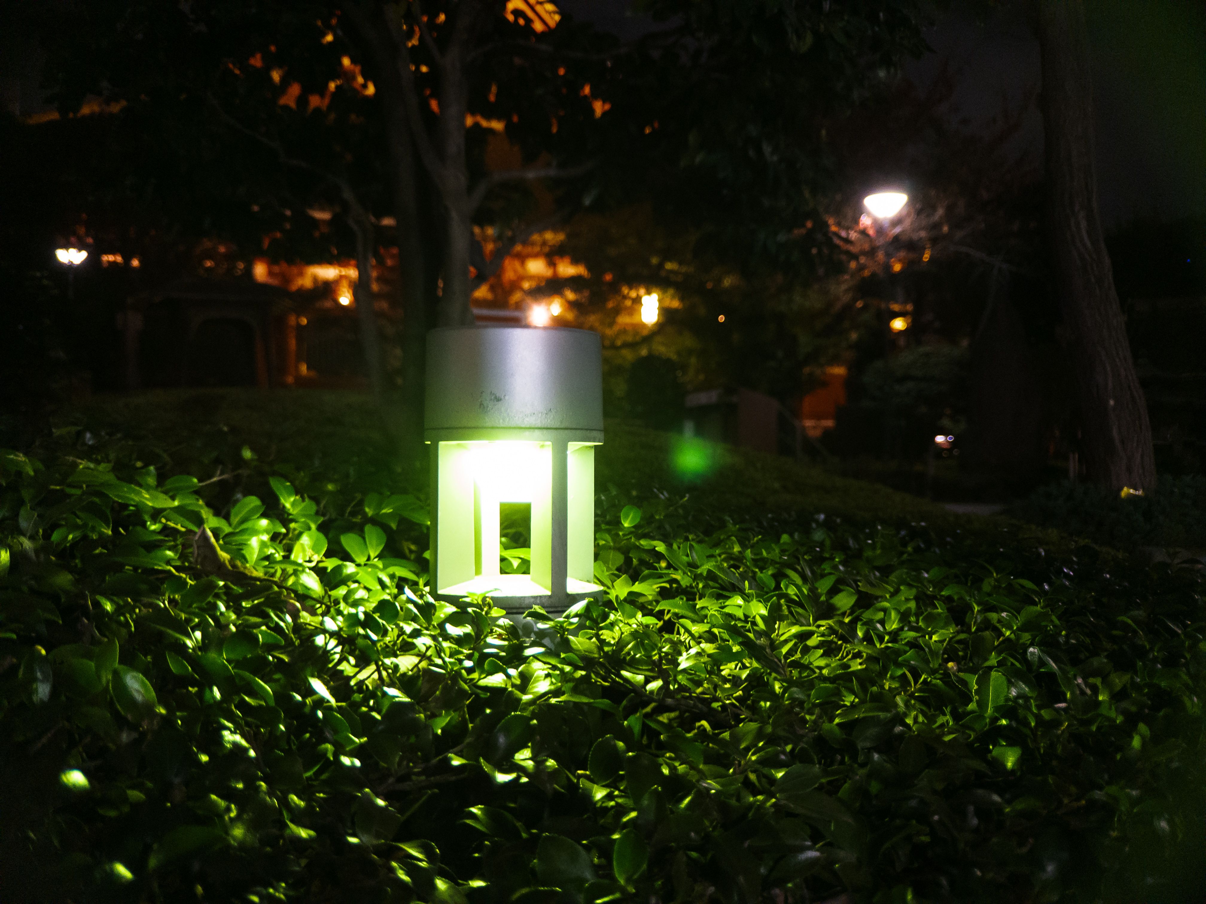A green light for illuminating the sidewalk, in a bush