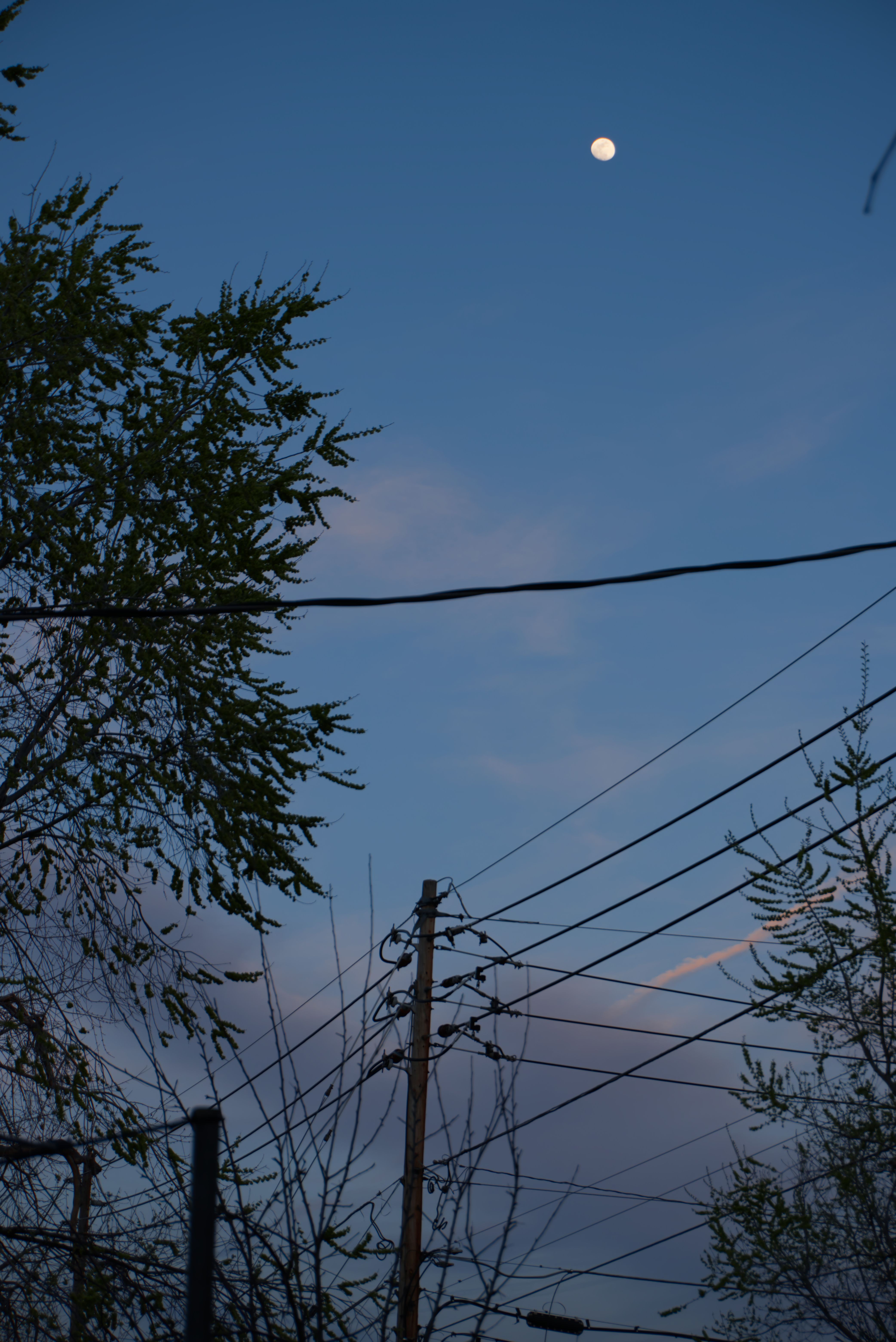 The moon at sunset over some trees and power lines and clouds in the background.