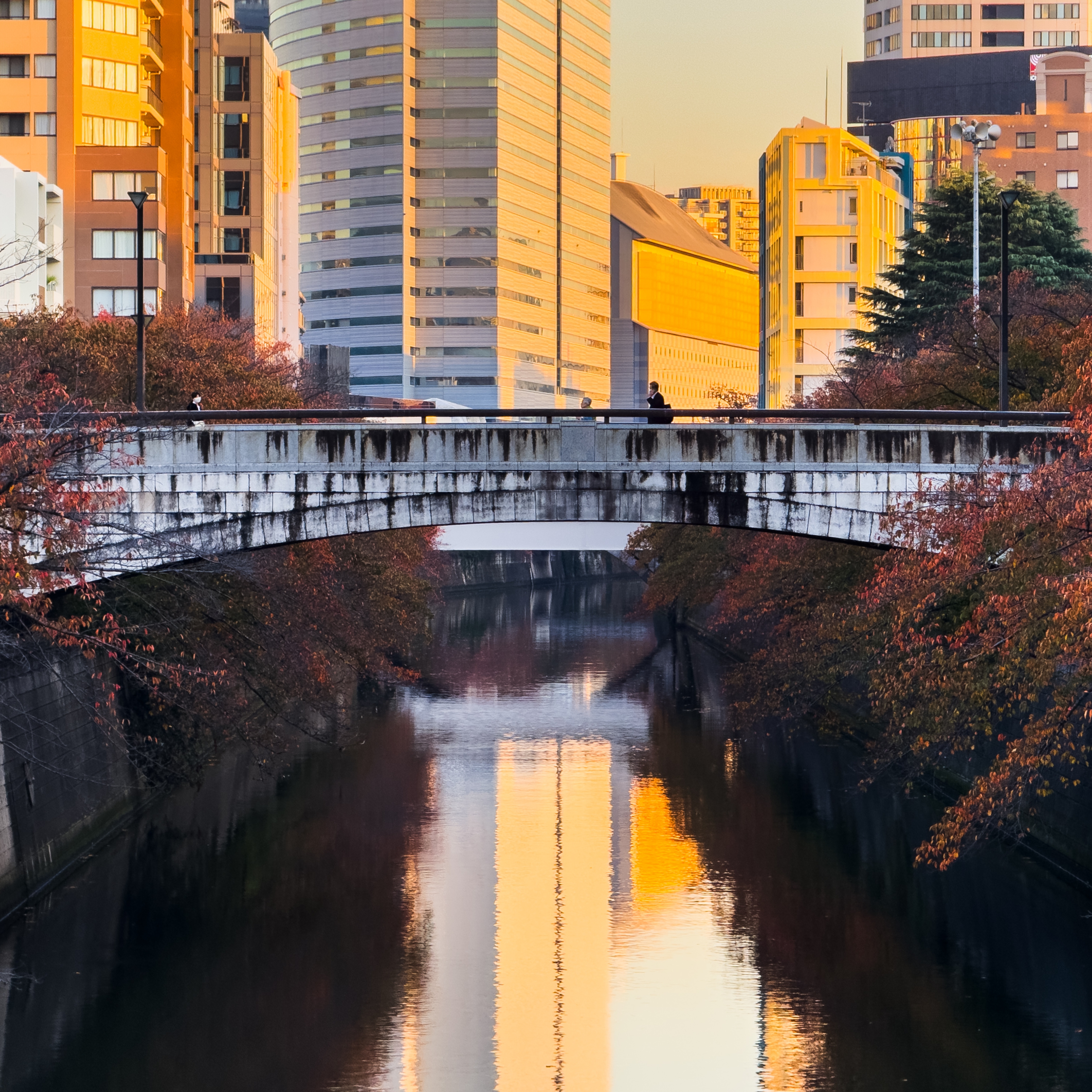 A bridge over a canal at sunset, with orange-leaved cherry trees overhanging the water. Three people are crossing the bridge
