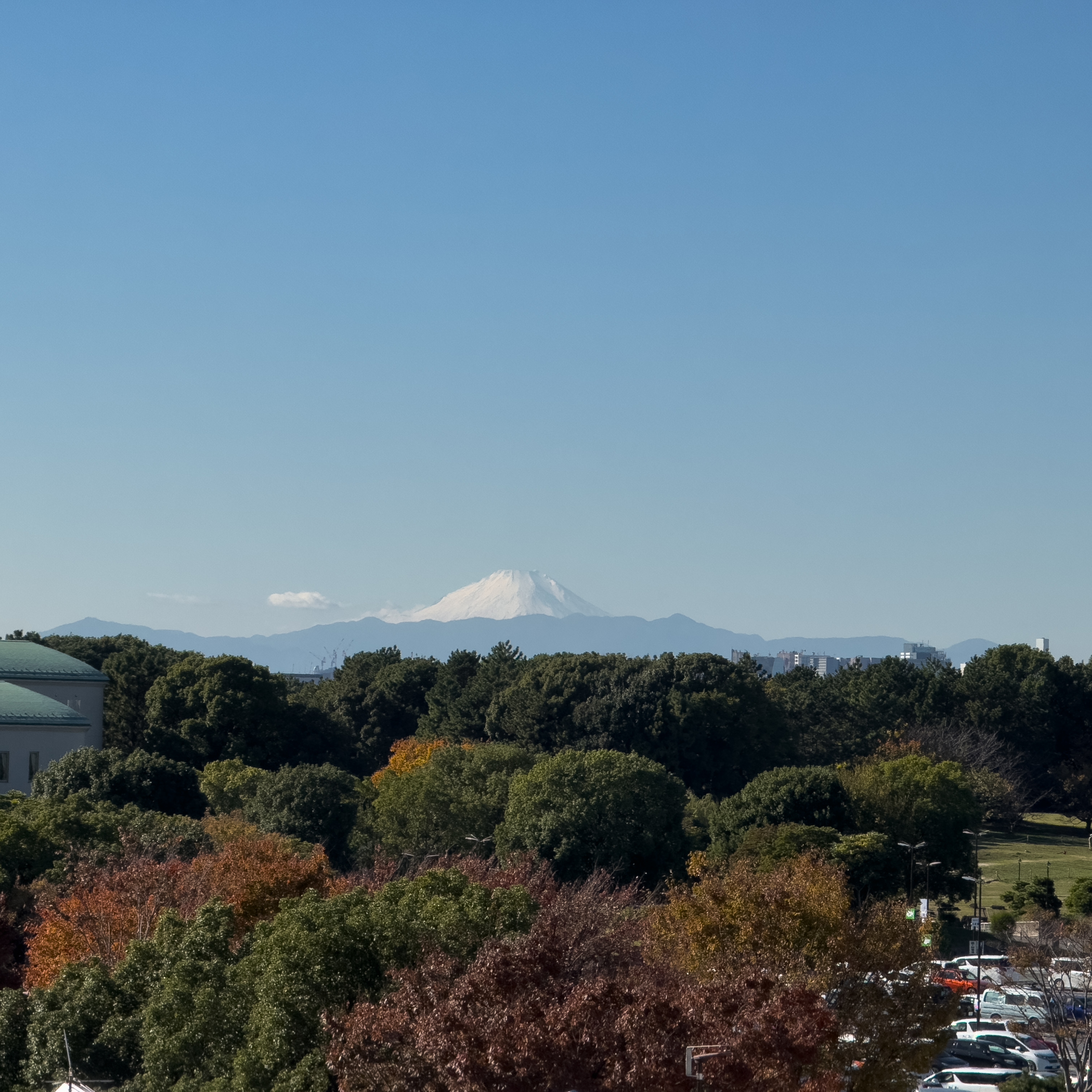 Mt. Fuji from far away above some trees. The edge of a ferris wheel is just in frame on the right side.