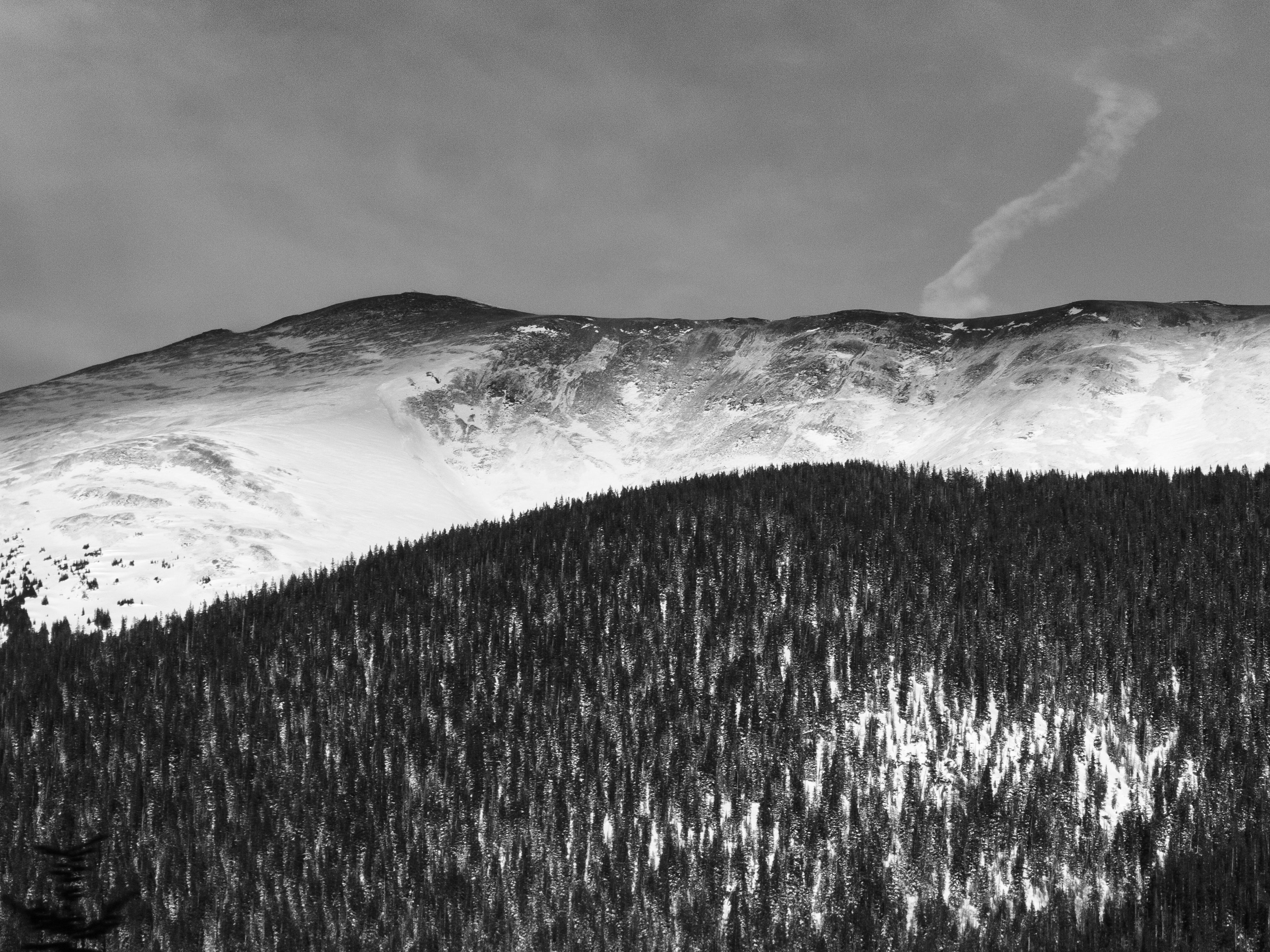 A black and white picture of a forested mountain in front of a snowy mountain