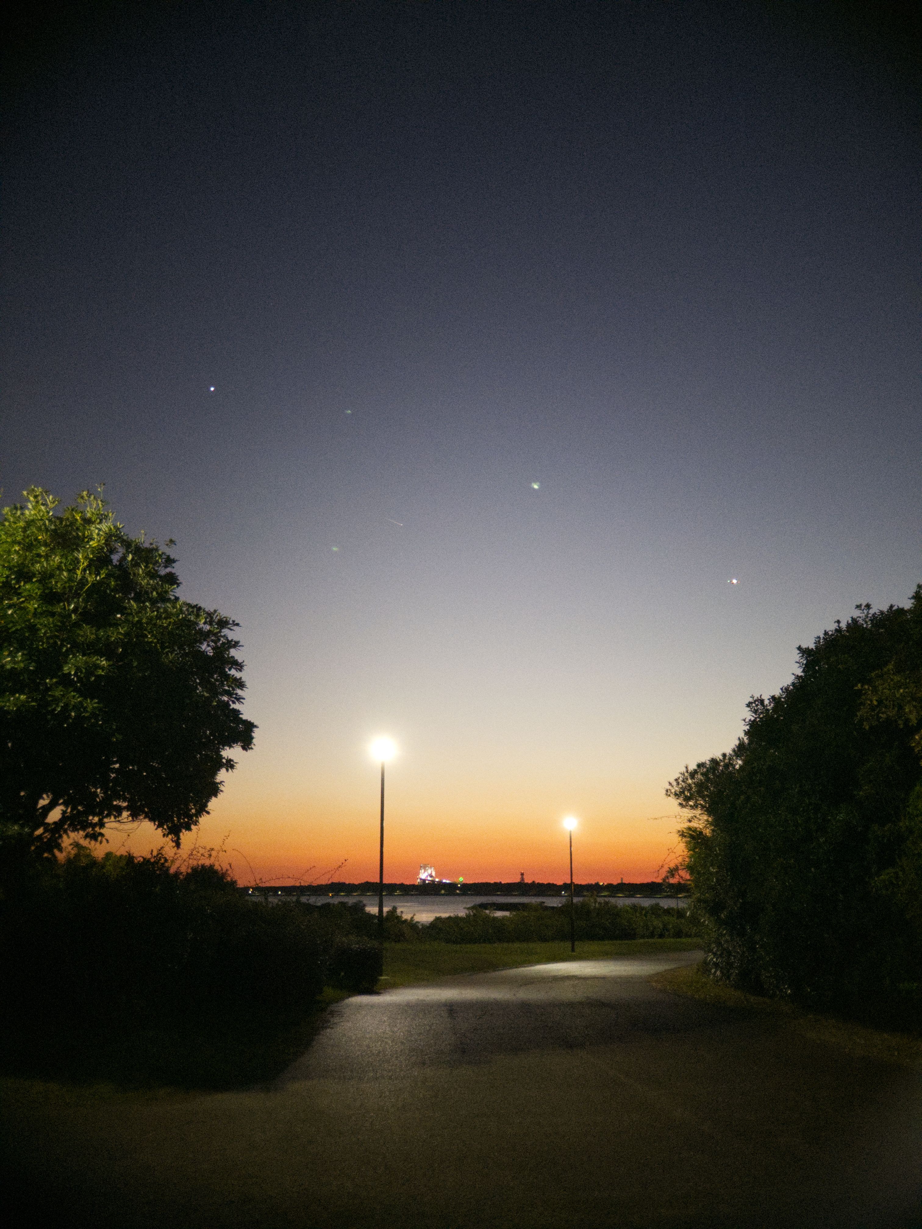 A sunset with two streetlights between two trees