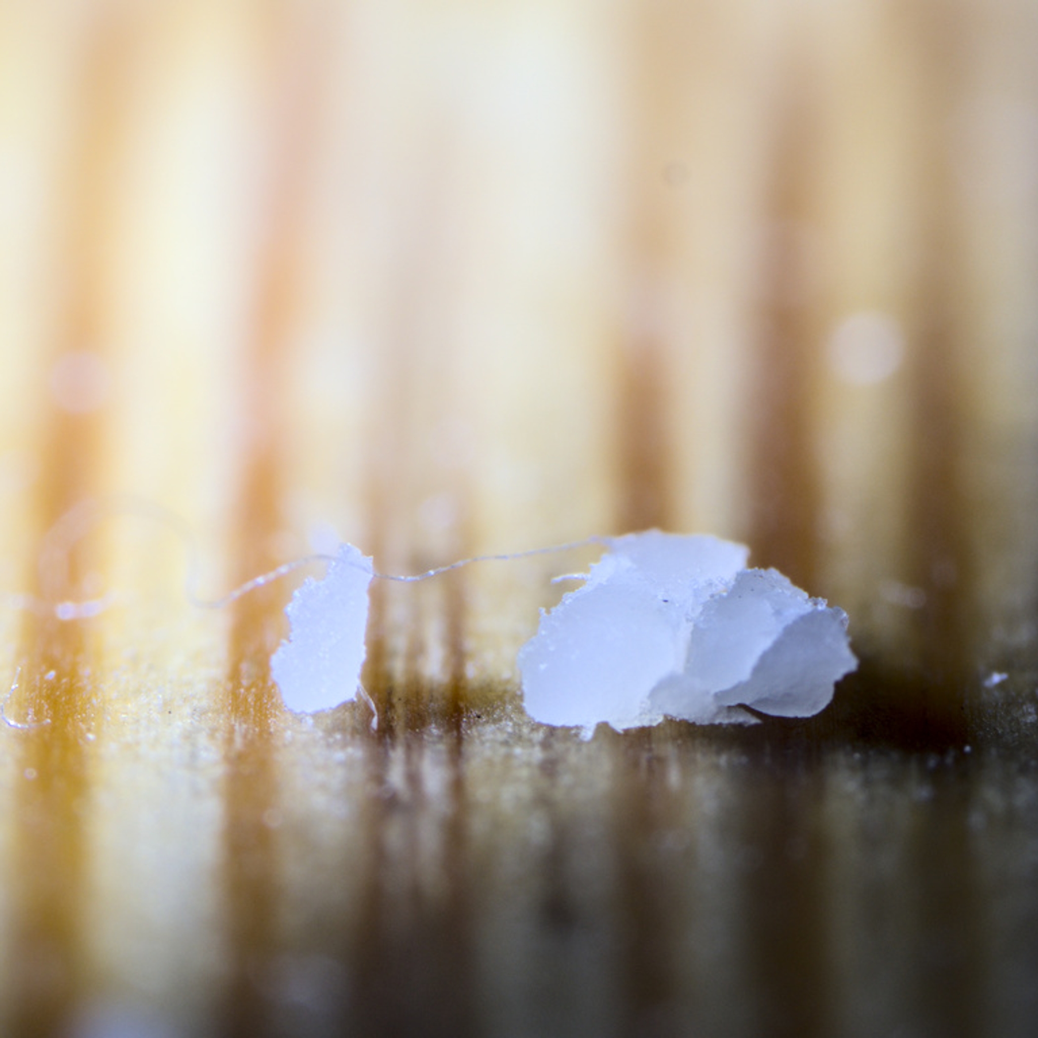 A macro photo of a smaller crumb seeming to lead a larger crumb by a hair