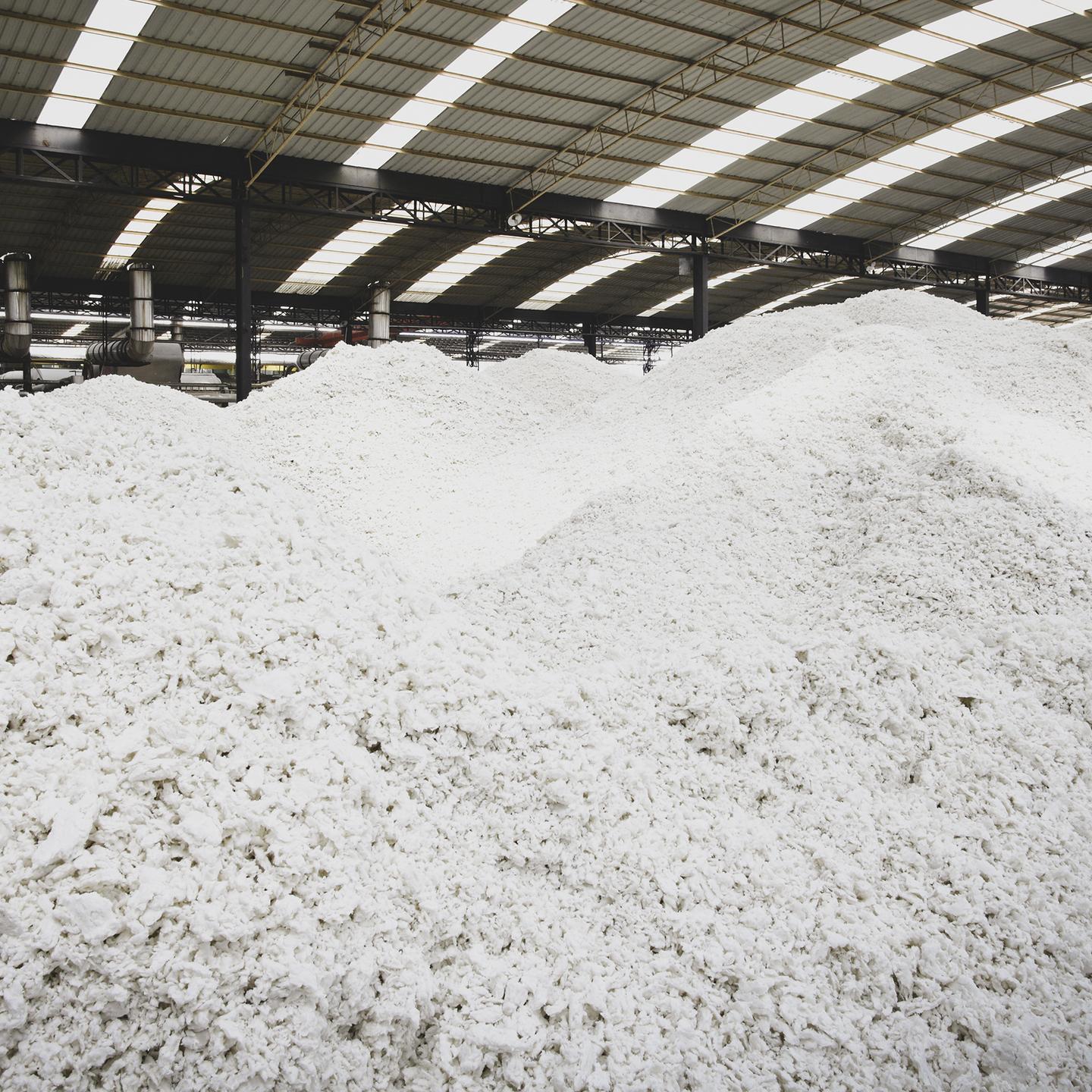 Pulp Example Pulp for Paper | Elof Hansson Group