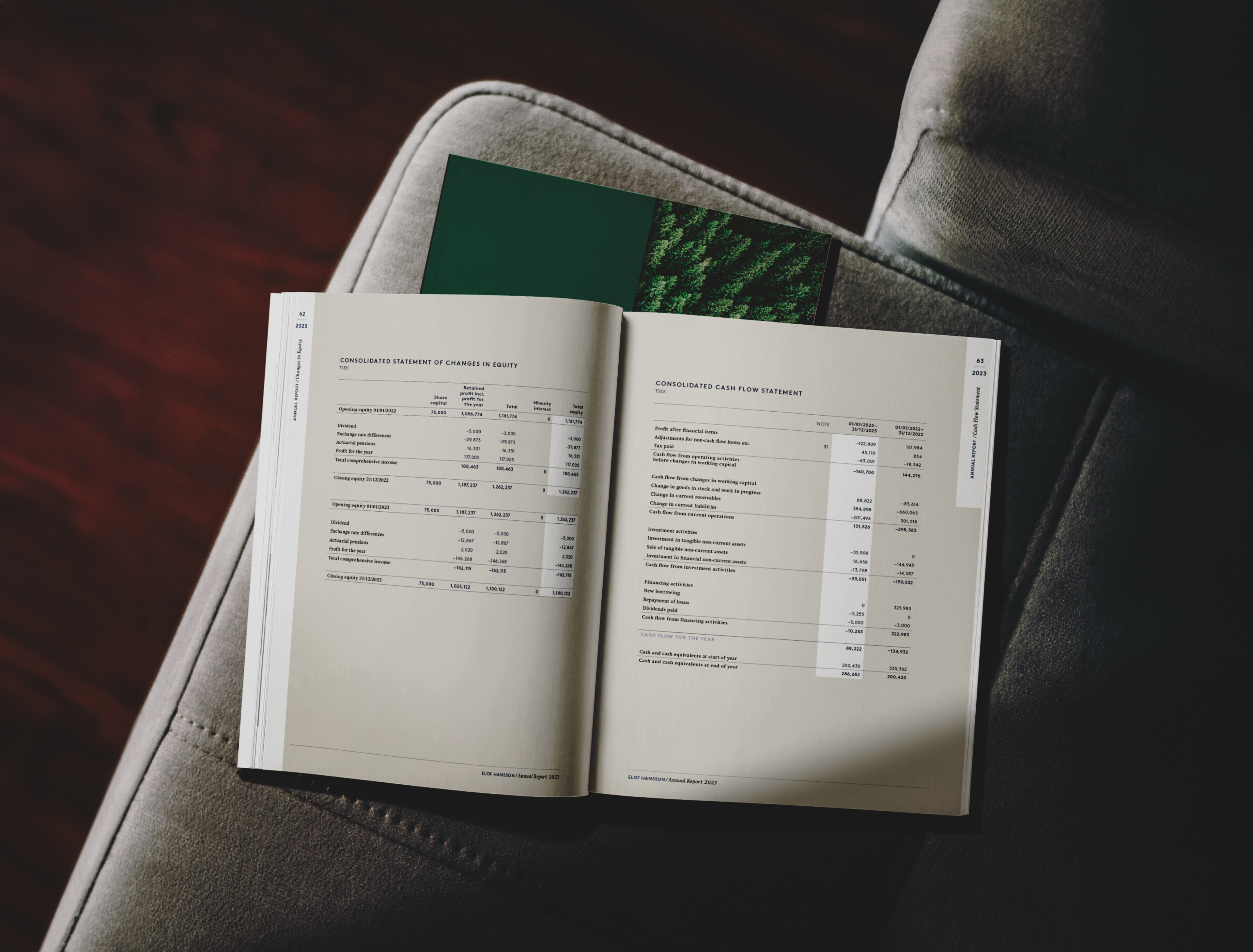 Picture of Elof Hansson Annual report