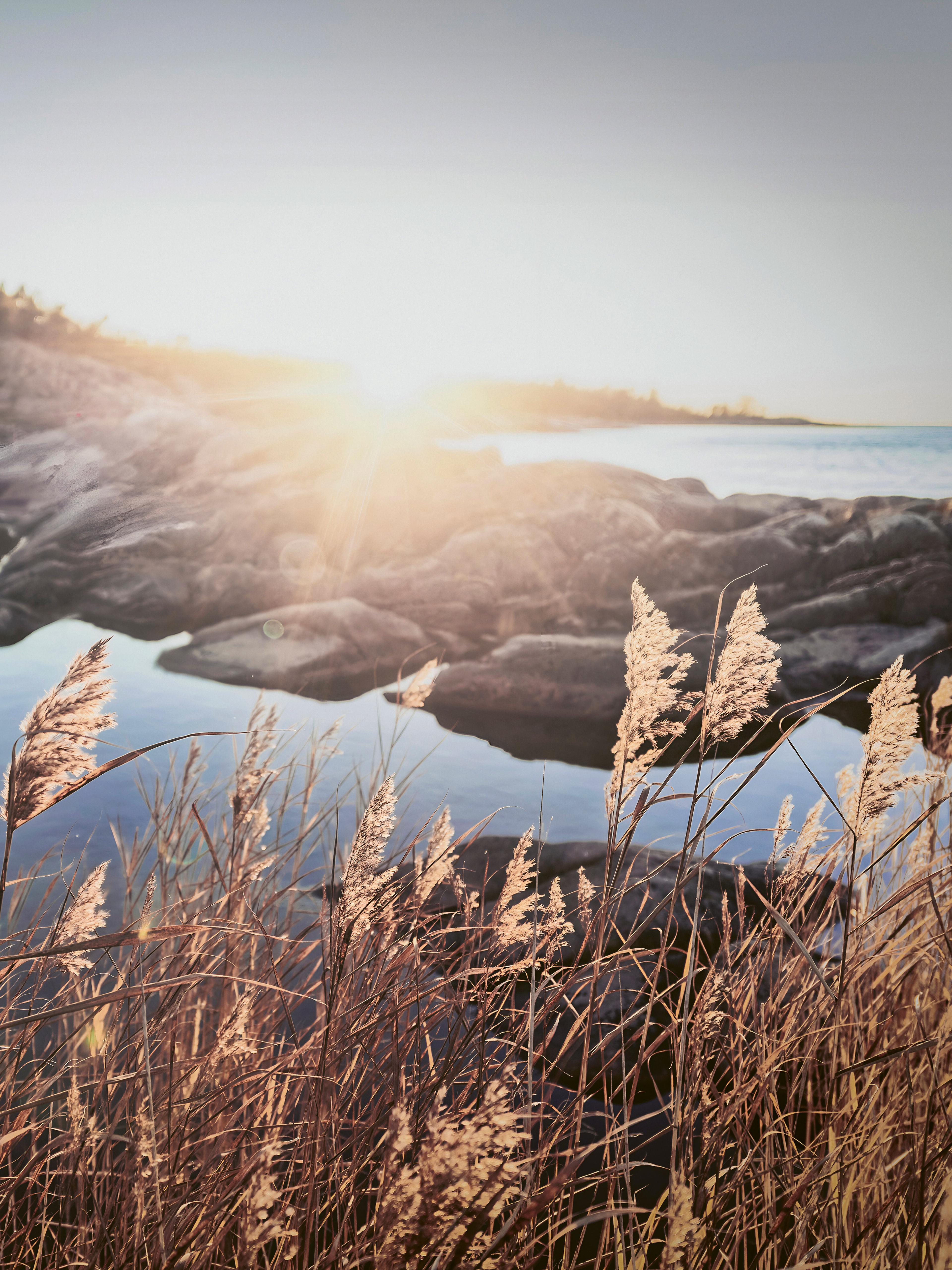 ocean, cliffs and blande of grass