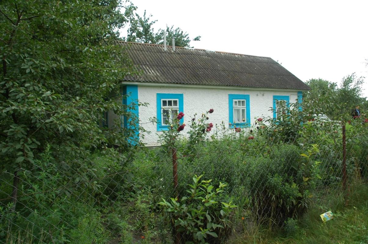 Photo of cream colored house with bright blue shutters surrounded by trees.