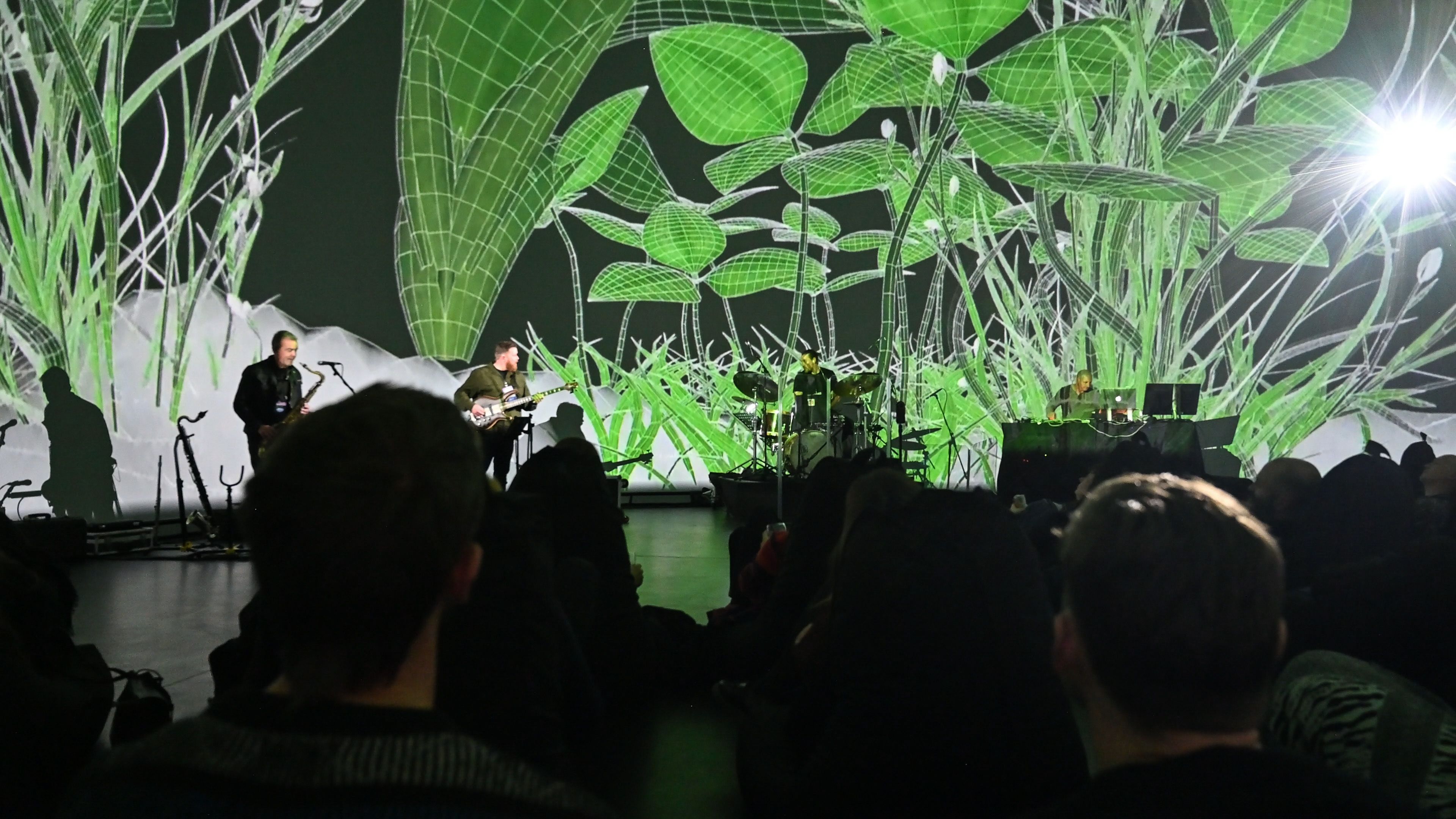 Black Mantis Live Performance