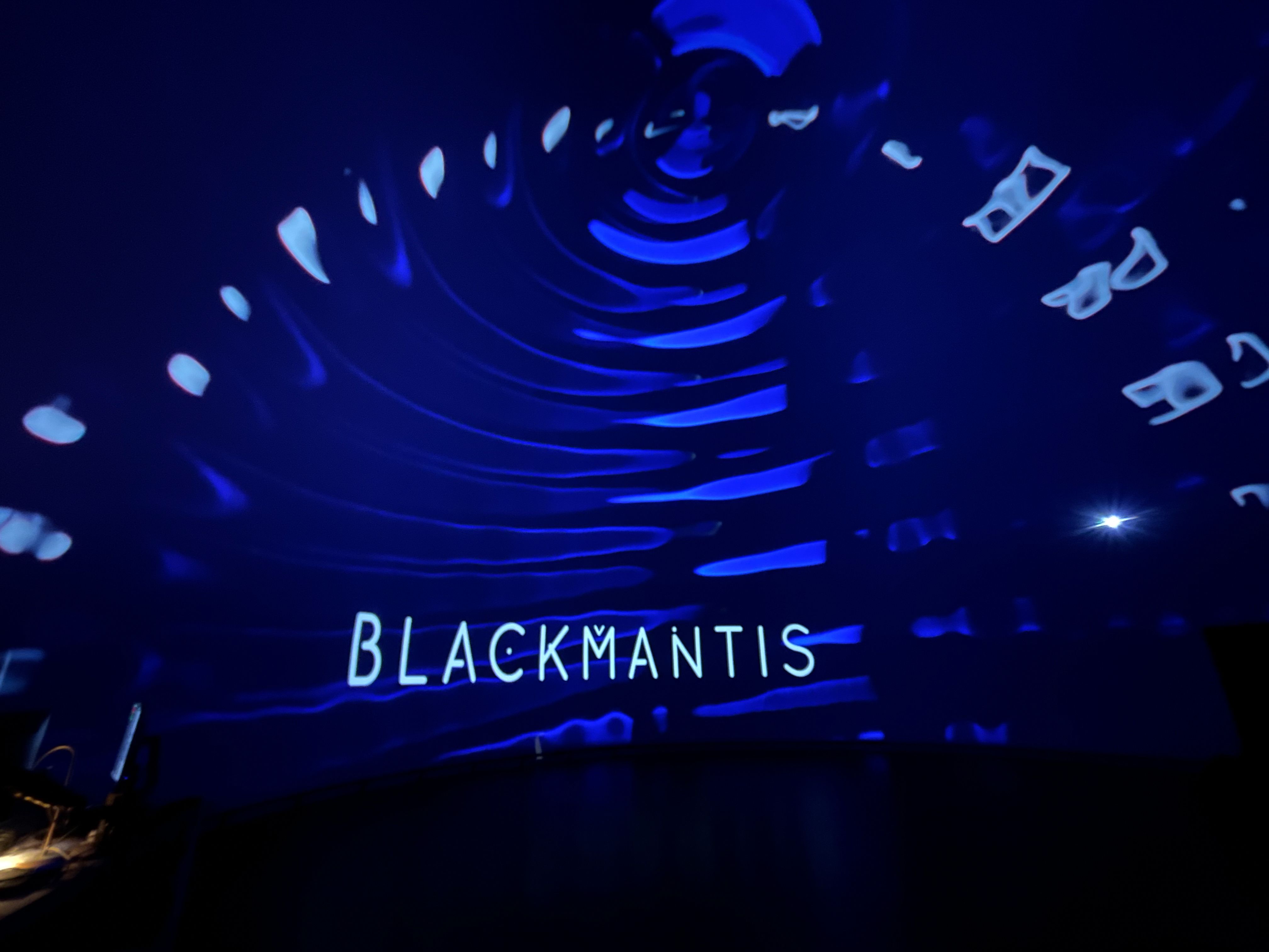 Black Mantis Live Performance