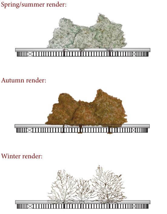 Three seasonal elevations of the roof deck and its trees: green in spring and summer, orange in autumn, bare in winter.