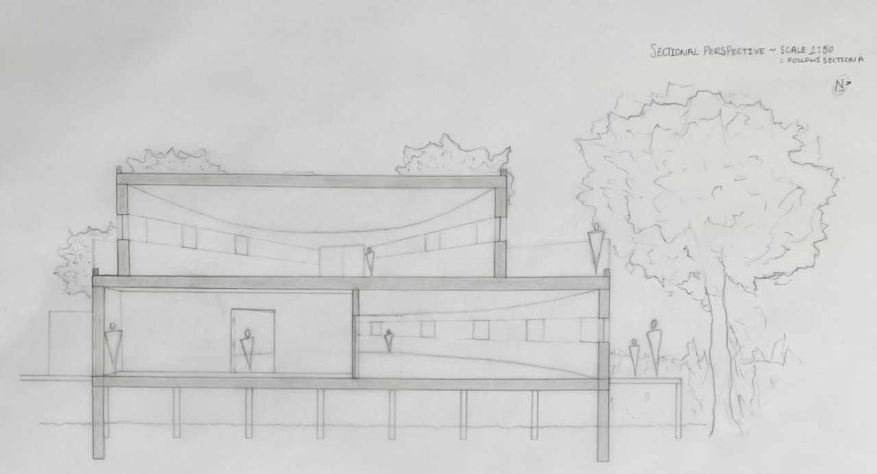 Pencil sectional perspective at 1:50 through two storeys, with figures inside and a large tree alongside.