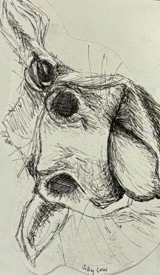 Fine liner sketch of a silly cow sticking his tongue out, his ear turned towards the viewer.