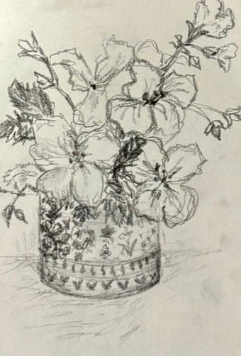 A graphite sketch of a patterned ceramic pot of flowers