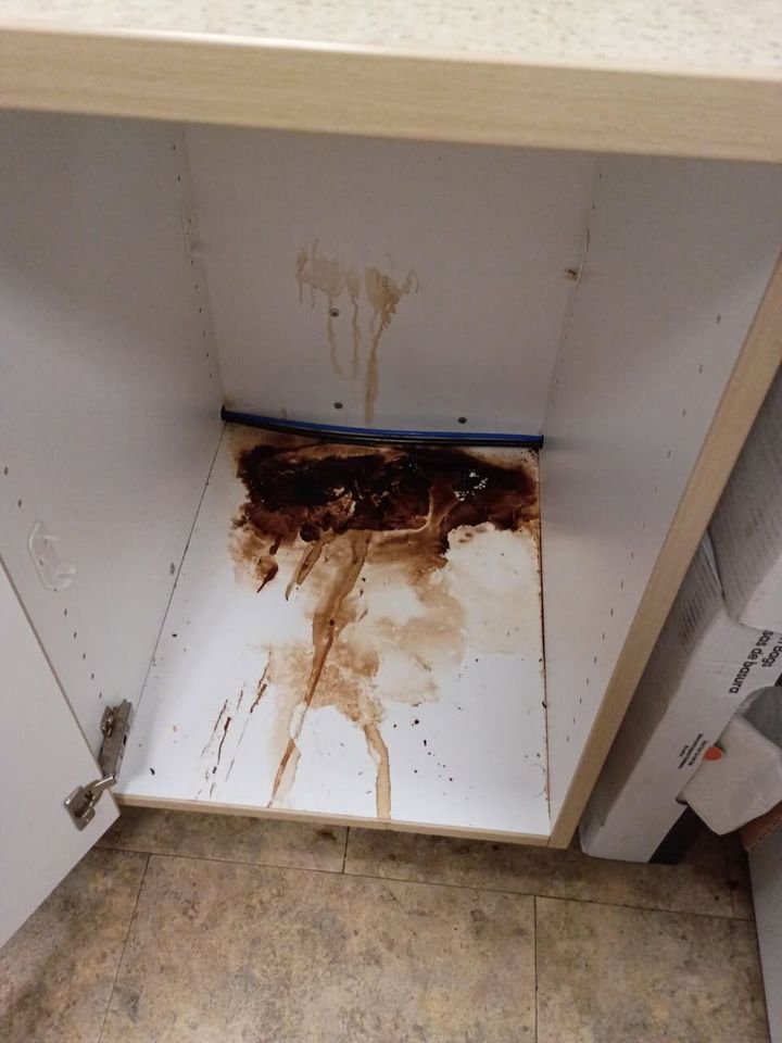 Cabinet before JNC cleaning — client home, Lynchburg area