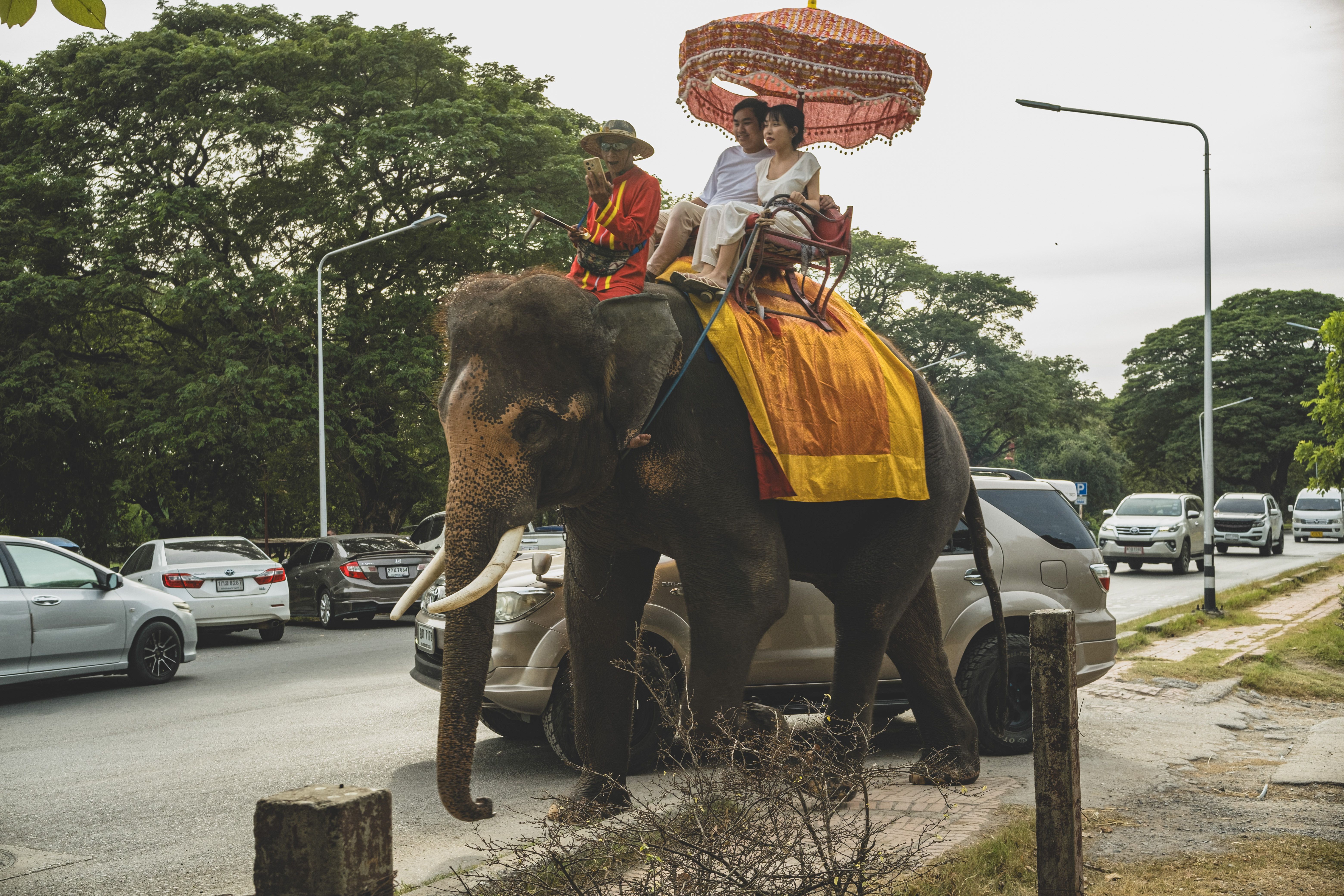 Thailand 2024-34