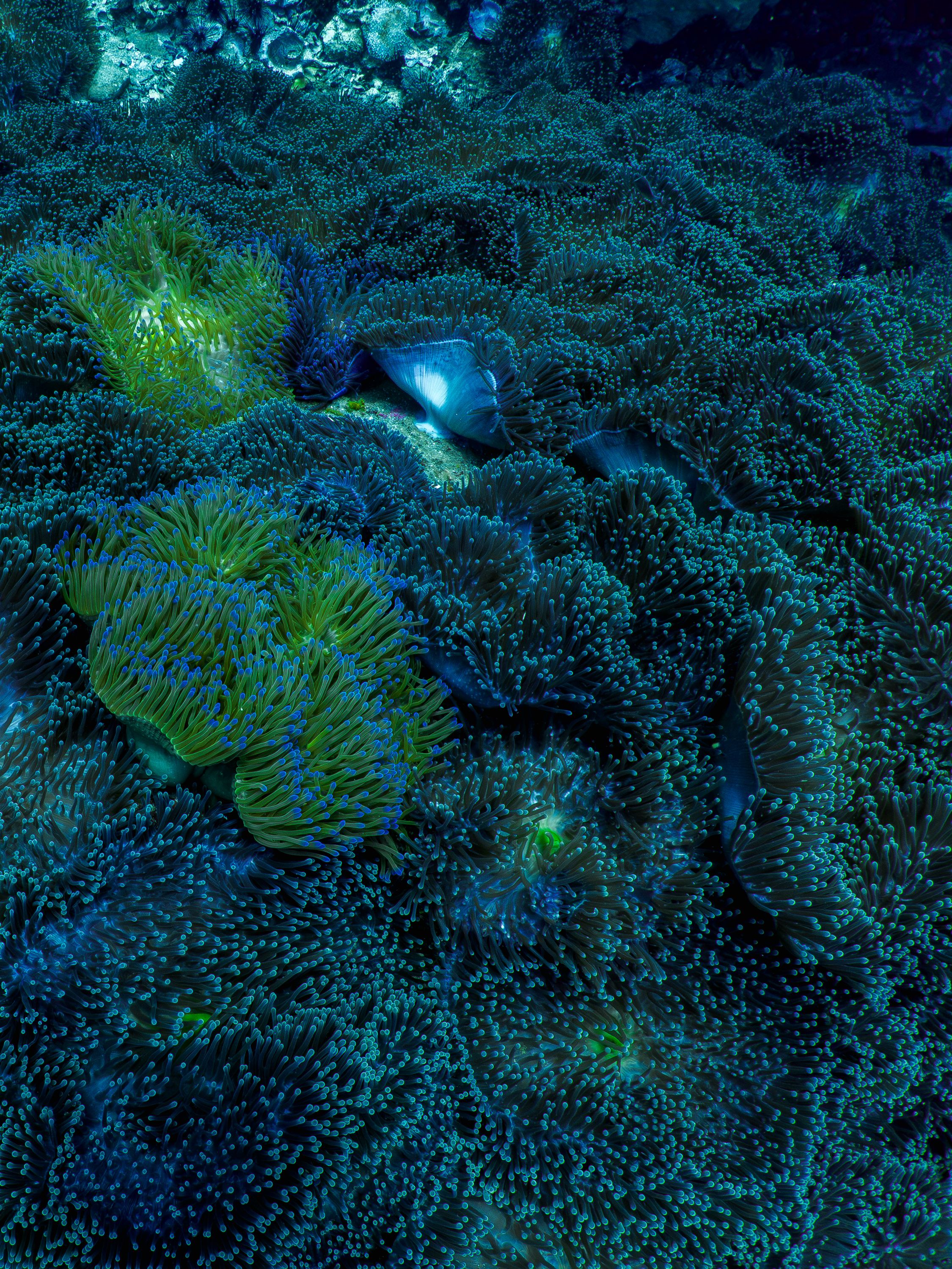 Waterscapes-24