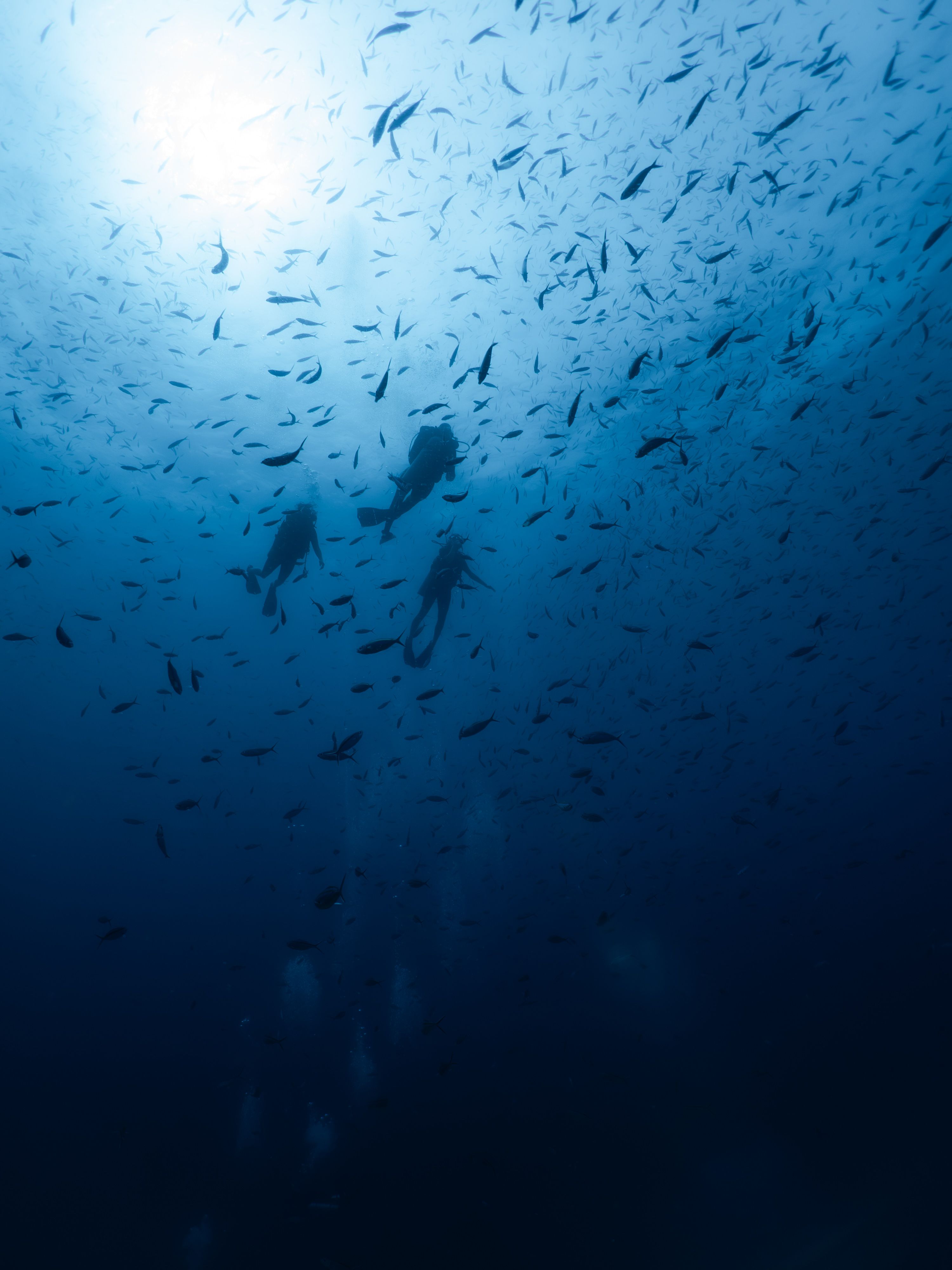 Waterscapes-38