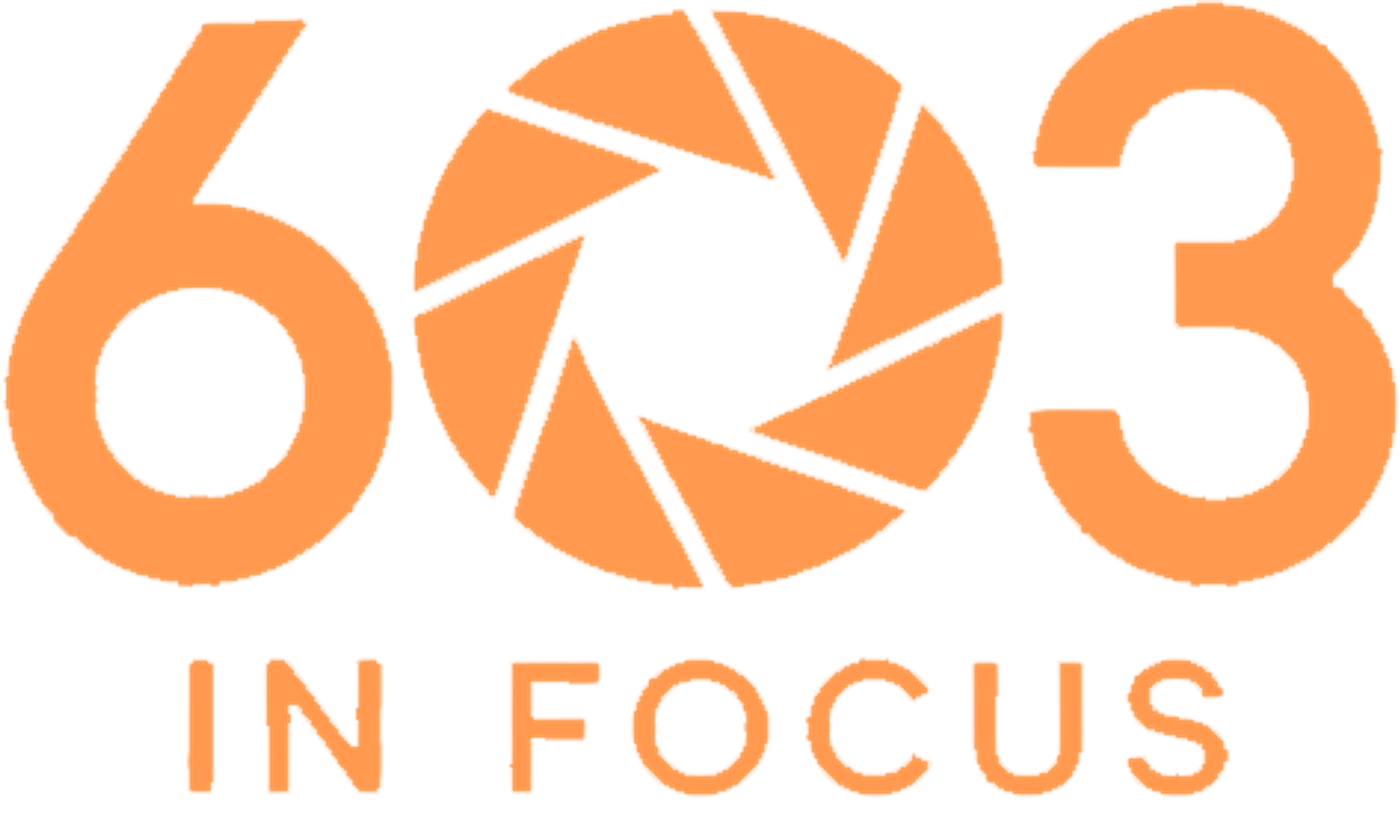 603 In Focus Logo