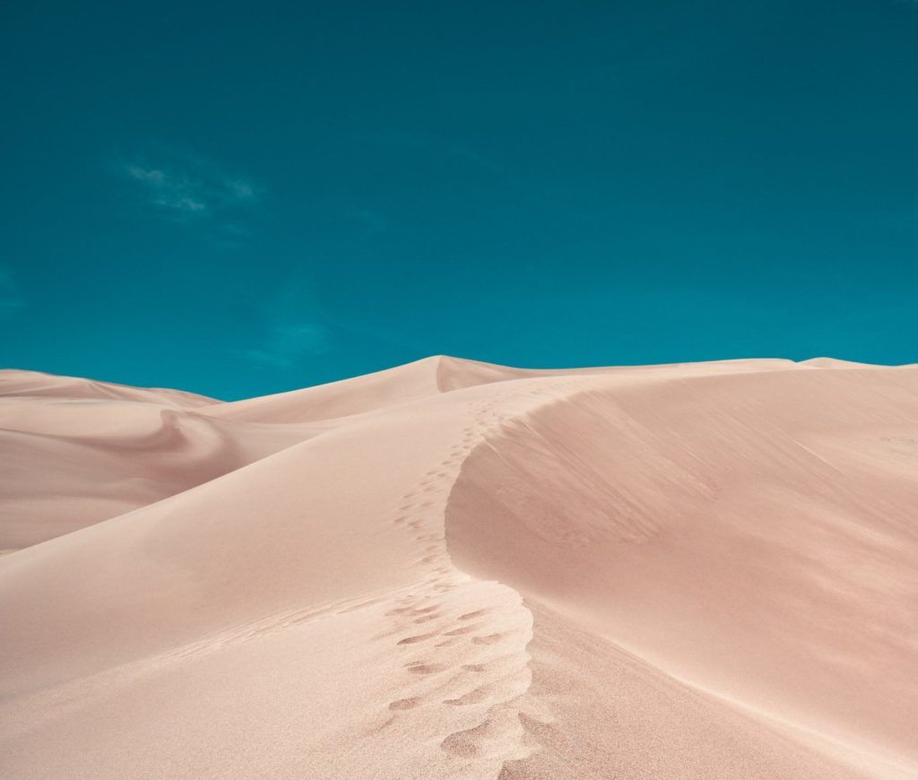 national park fees