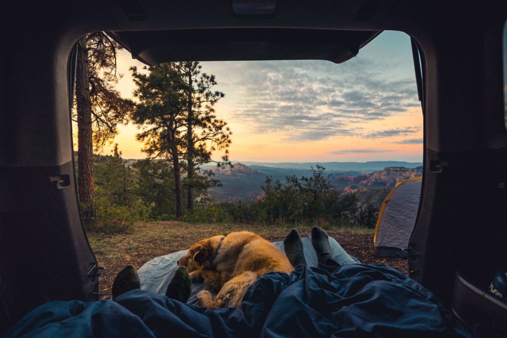 rv camping with dogs
