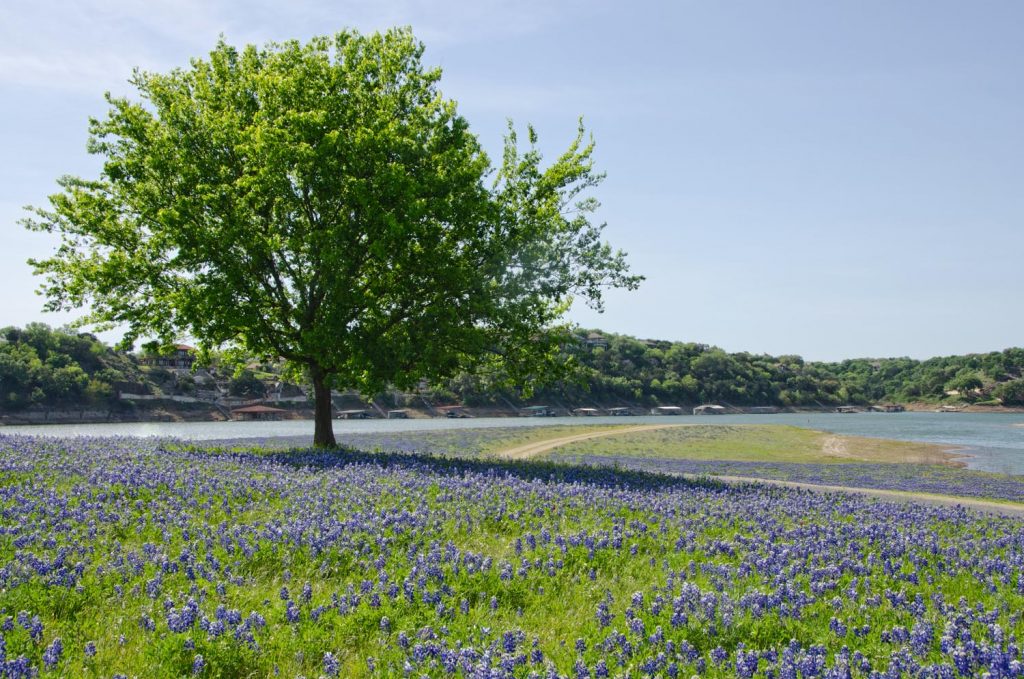 Photo Tripping America - Scenic Back Roads - Outdoorsy