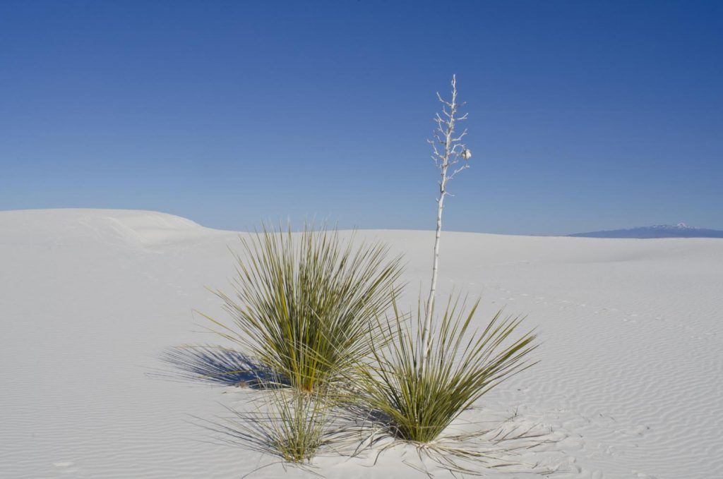 Photo Tripping America - Soak Up the Sun - Outdoorsy